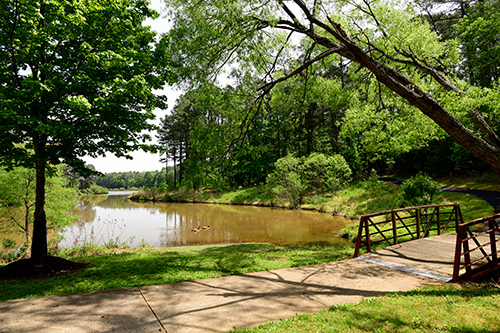 A willow tree next to a bridge and a body of water