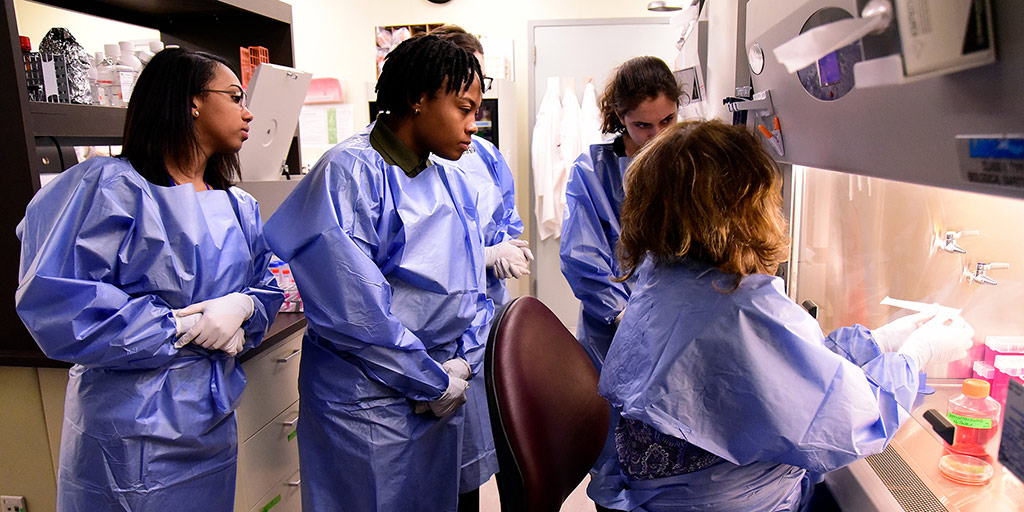 NIEHS Scholars Connect Program page image