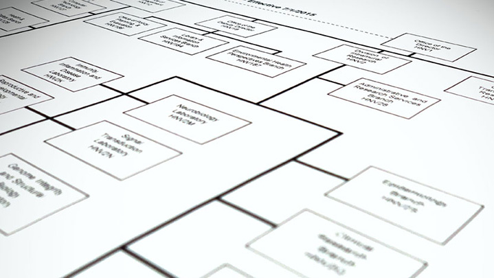 flowchart mapping out a complex structure