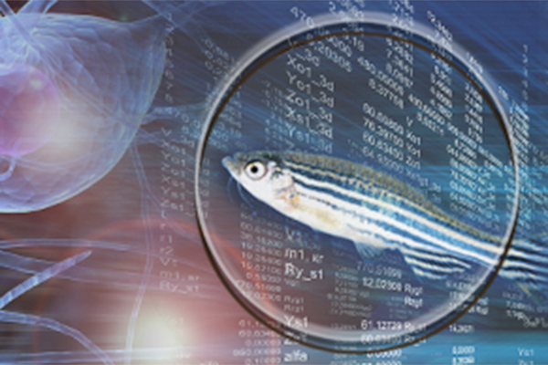 fish, cells, data
