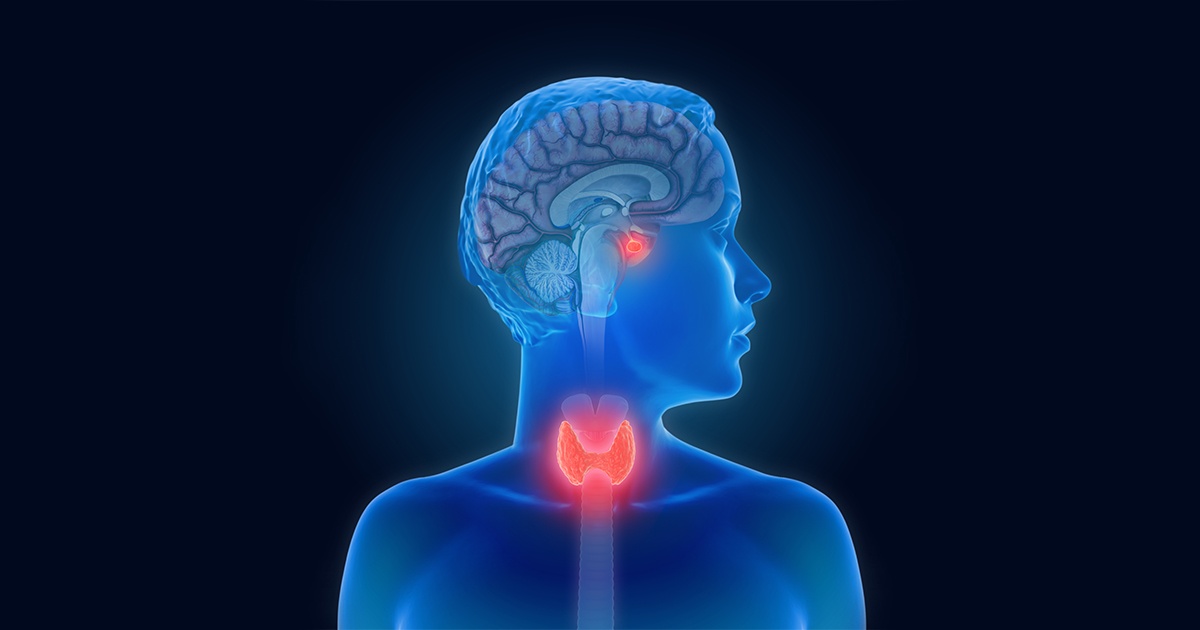 human x-ray showing brain and throat