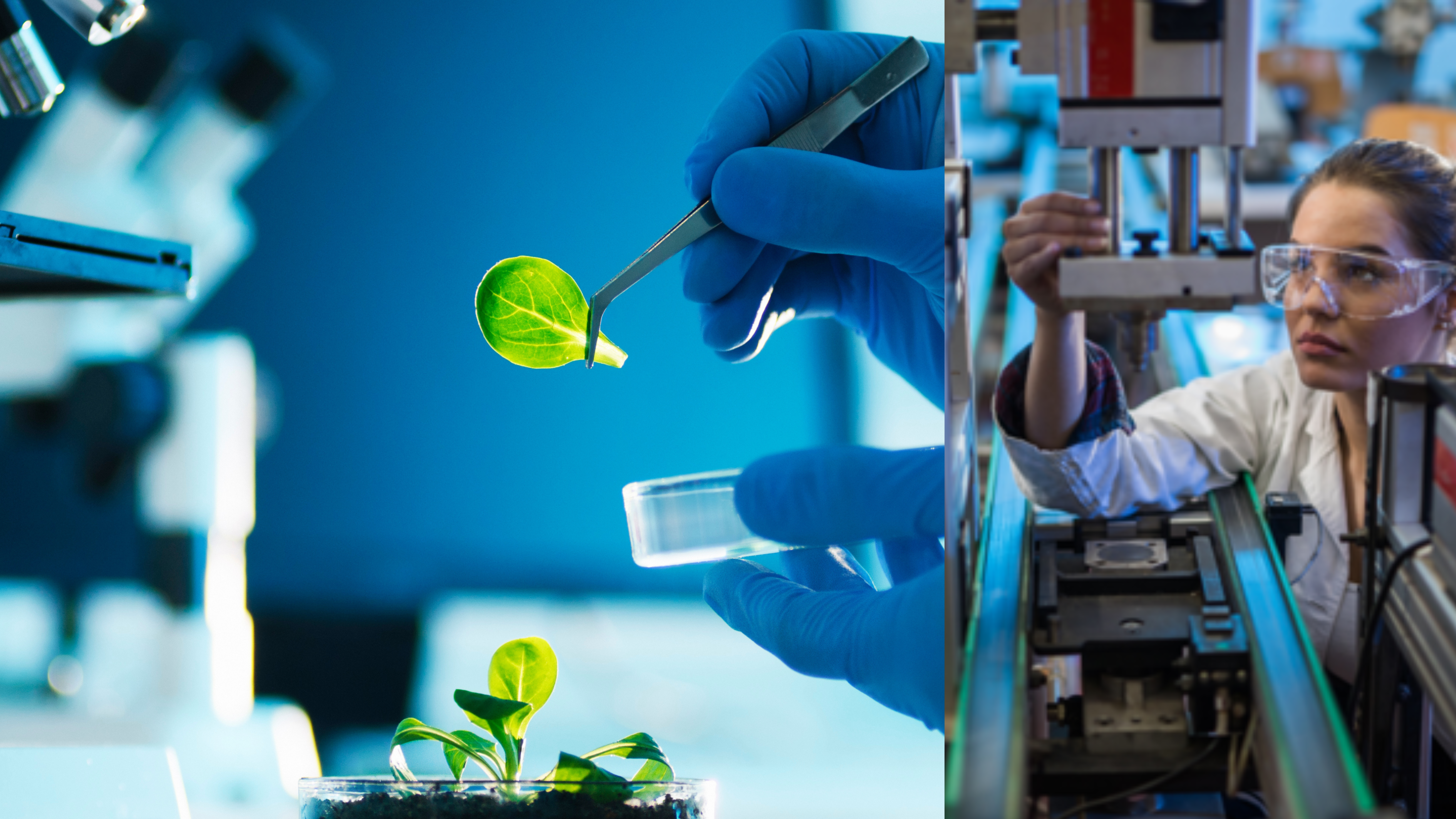 Collage of labwork images
