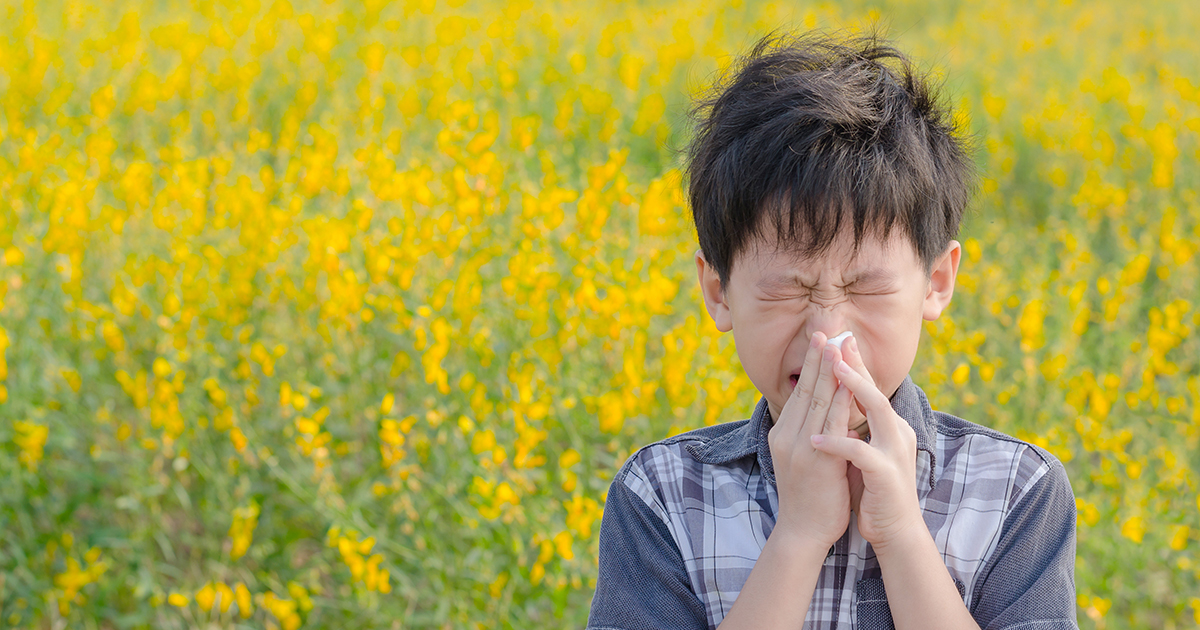 little asian boy sneezing standing in a field
