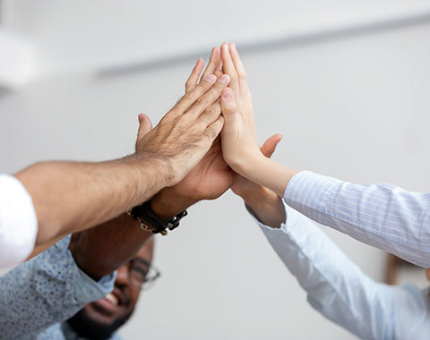 hands together as a team