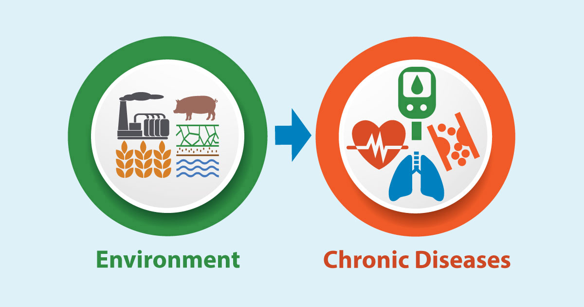 Green circle representing the environment with a blue arrow linking to a red circle representing genetic makeup