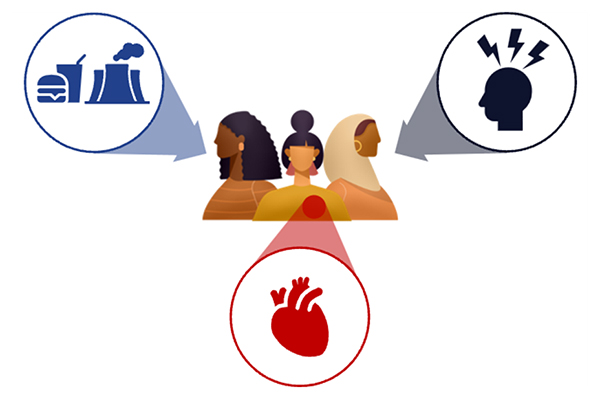 Environmental Exposures and Psychosocial Stressors on Cardiovascular Disease on Disproportionately Affected Populations