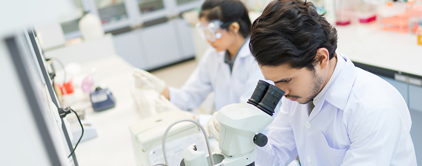 Postdoctoral Program