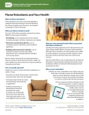 Flame Retardants brochure sheet cover