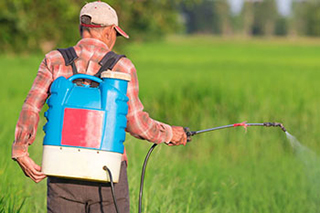 Man applying pesticides to field