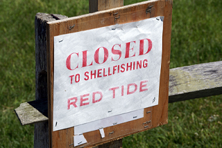"closed to shellfishing" sign