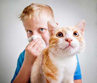 boy sneezing and a cat
