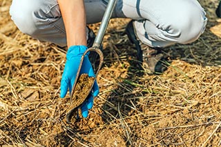 someone testing soil