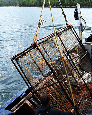 Fishing cage being raised