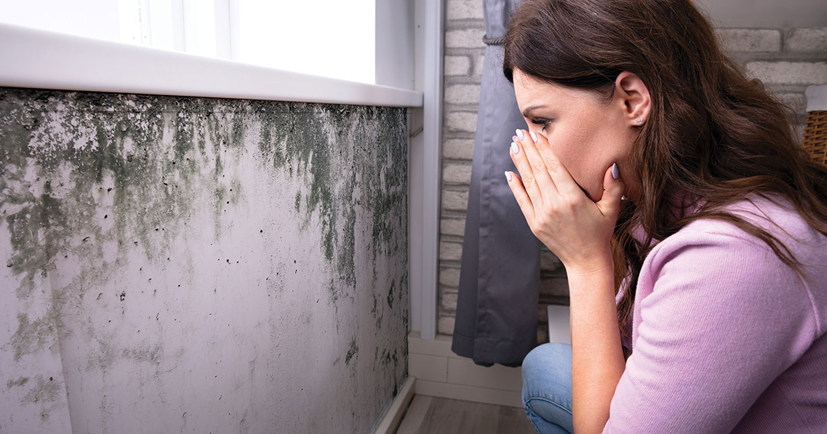 What is Black Mold? The Truth Behind the Spores