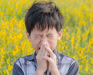 sneezing boy standing in wildflowers