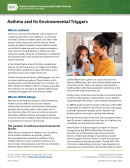 Asthma and Its Environmental Triggers