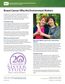 Breast Cancer: Why the Environment Matters