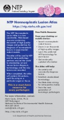 NTP Nonneoplastic Lesion Atlas