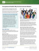 Occupational Health: Why the Environment Matters