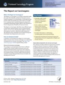 The Report on Carcinogens Cover