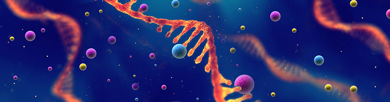 cells and strands of DNA