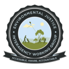 WTP Environmental Justice Interagency Working Group Logo, with an image of figures in a field flying a kite