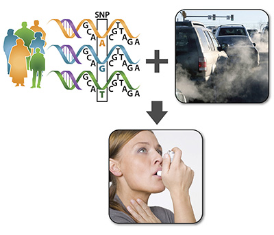 image of DNA graphic, exhaust from cars, and woman using inhaler
