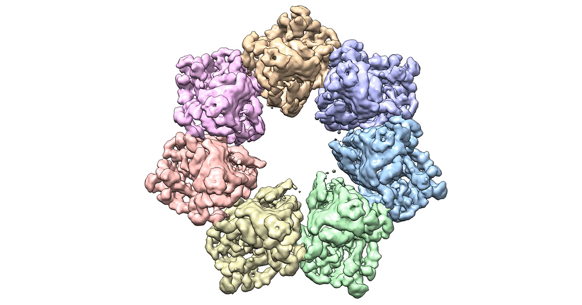 NIH First to Develop 3D Structure of Twinkle Protein 