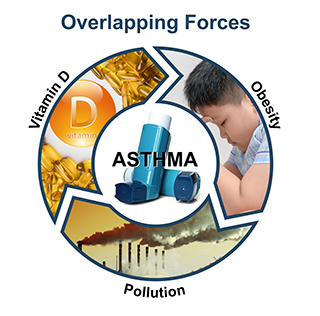 Asthma Vitamin D pollution obesity