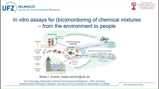 https://www.niehs.nih.gov/sites/default/files/news/video/science/img947295.jpg