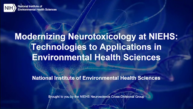 https://www.niehs.nih.gov/sites/default/files/news/video/science/neuro_041922/img938539.jpg