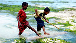 two children playing in water