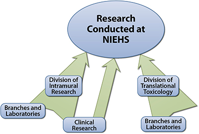 Diagram of research conducted at NIEHS