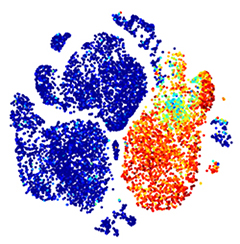 Antibody Staining for Helios CyTOF