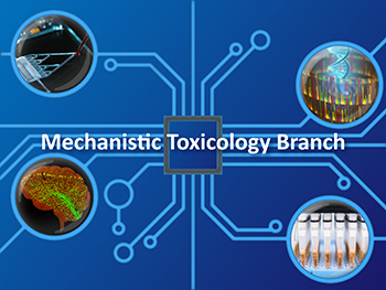 Mechanistic Toxicology Branch