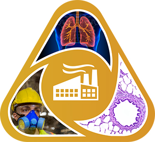 Smokestacks on an orange background, surrounded by cells, an image of lungs and an image of a worker in a protective mask.