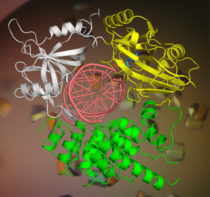 A computer render of biological structures.