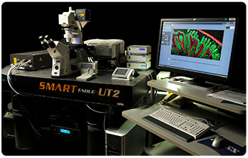 Zeiss LSM 710 inverted confocal microscope