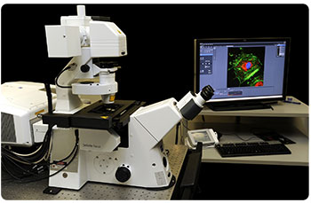 Zeiss LSM 780 inverted confocal microscope