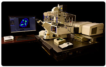 Zeiss LSM 880 inverted confocal microscope with AiryScan