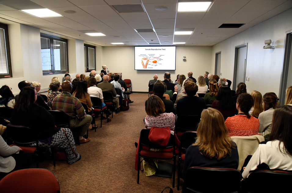2019 Donna Baird Talk at Wilcox Symposium