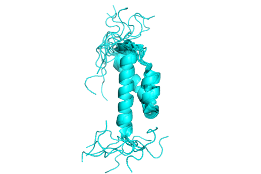 Theta subunit on DNA Pol III