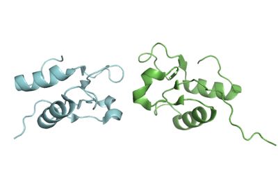 DNA ligase III-alpha BRCT domain