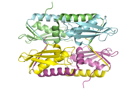 Domain swapped HIV-RNase H domain