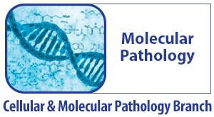 CMPB Molecular Pathology - An image of a DNA string