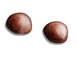 Adrenals Glands thumb