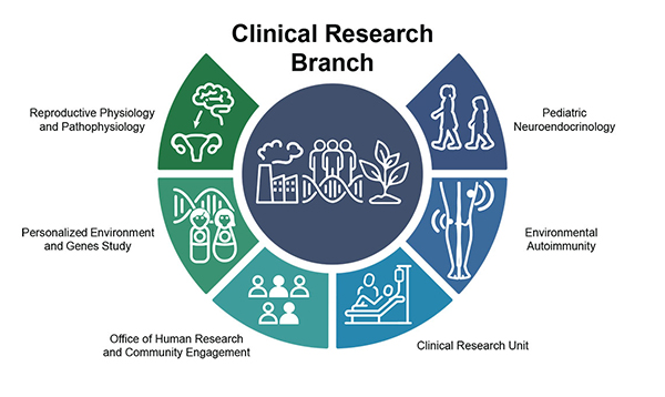 Clinical Research Branch