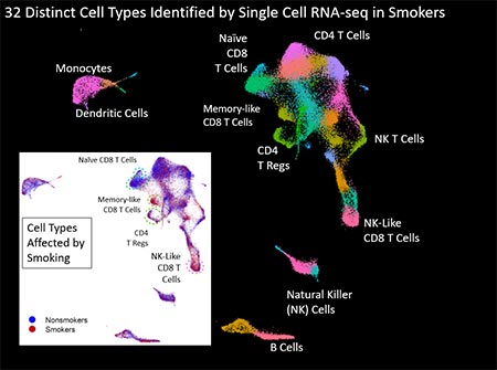 uMap analysis of ~40,000 blood cells