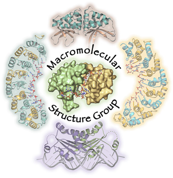 Macromolecular Structure Group 2012 Image