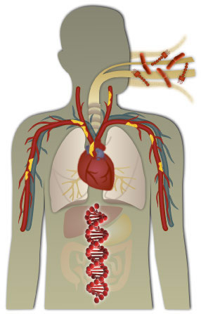 Environmental Innate Immunity